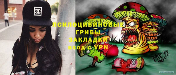 крисы Бугульма