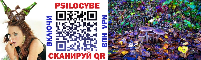 Купить где Оленегорск Псилоцибиновые грибы GOLDEN TEACHER